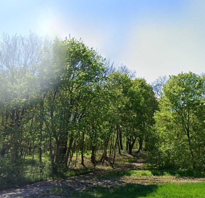 Działka nad jeziorem z bezpośrednim dostępem do wody