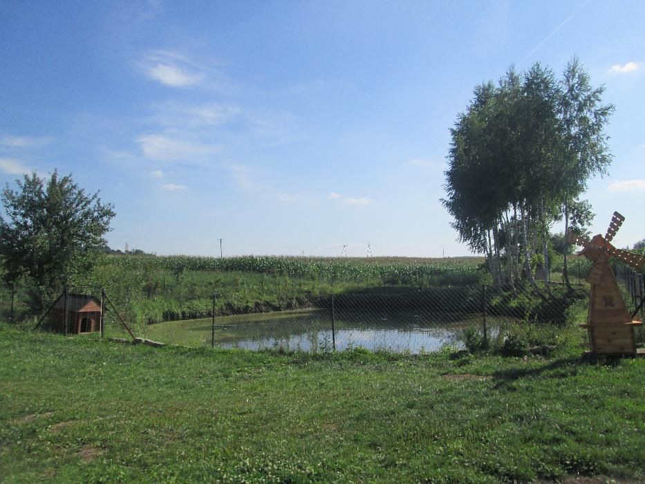 Noclegi na firm ok. Radymno Przemyśla Jarosław