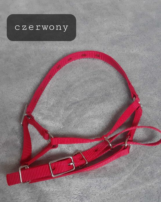 Kantar dla alpak 25 wzorów