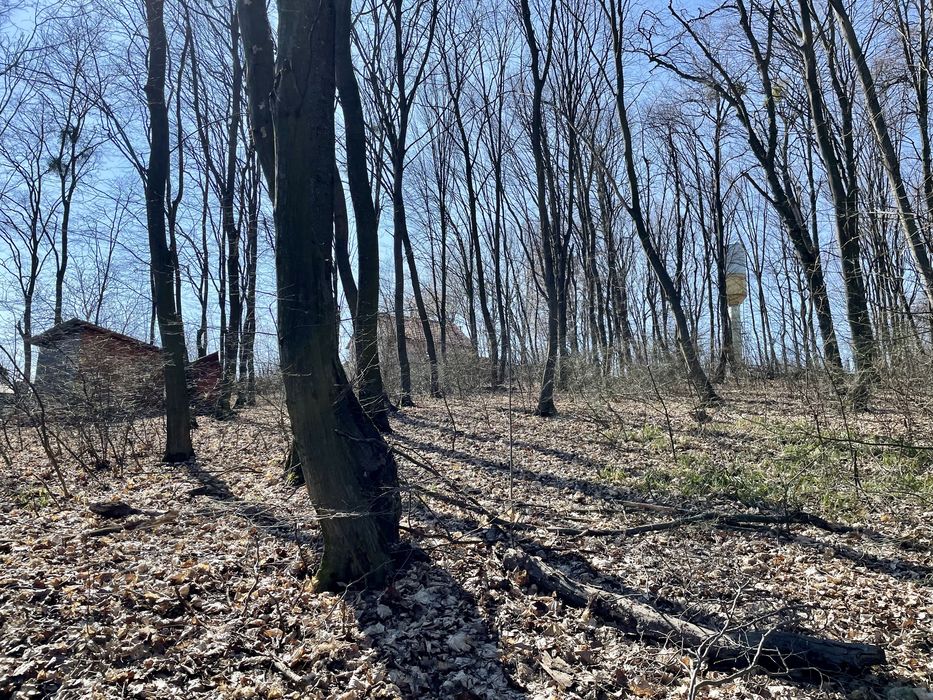 Земельна ділянка 20 сот. с. Креничі під будівництво.