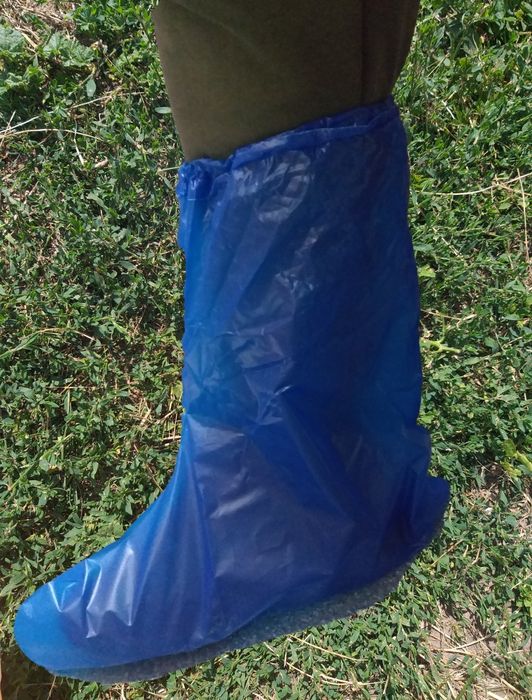 Бахіли високі плотні