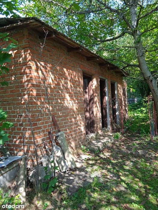 Działka budowlana 18 ar – Rakszawa – przy lesie - Widok 6