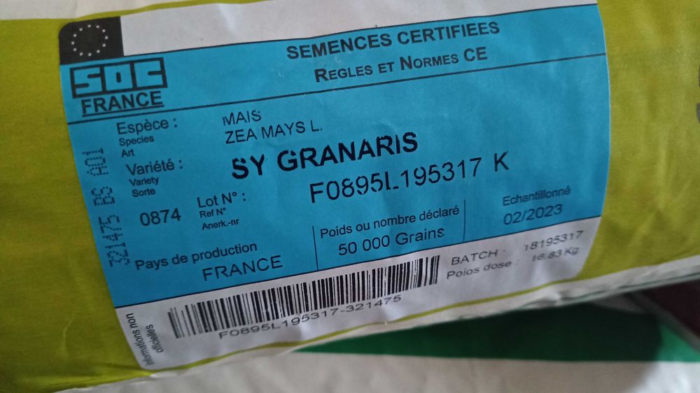 Kukurydza Syngenta  Granaris ziarno ziarnówka Wysyłka