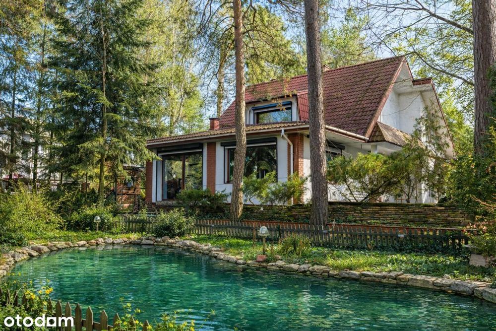 Azyl wśród pięknych drzew | Doskonała lokalizacja