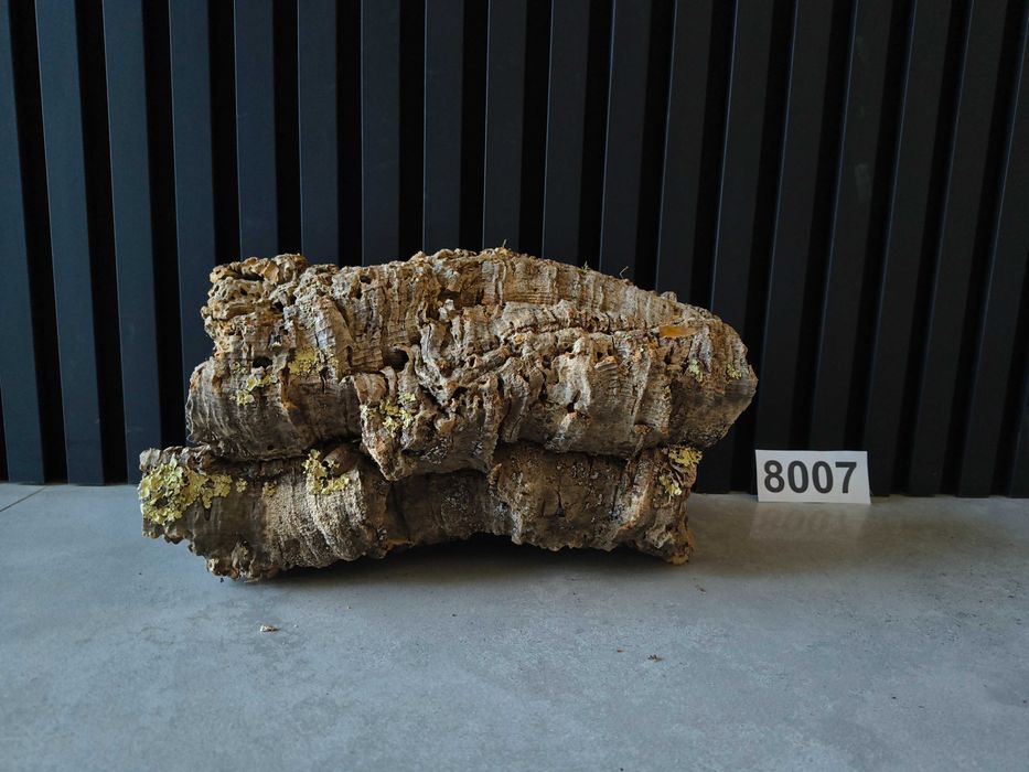 Tuba KORKOWA 8007 kora dębu do terrarium płaz gad pająk 33x19x19