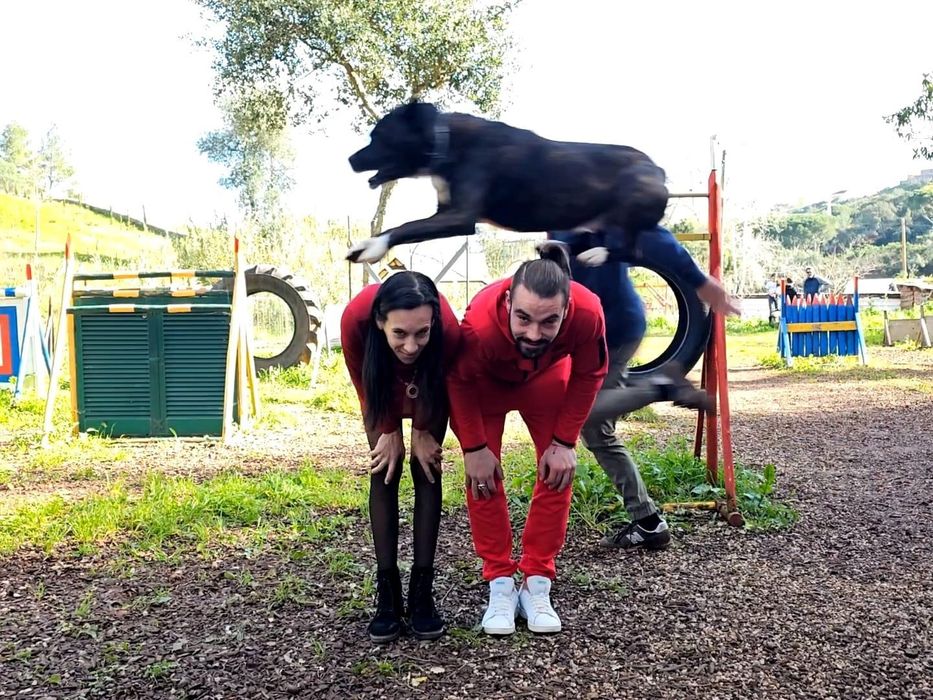 Hotel Canino Setubal