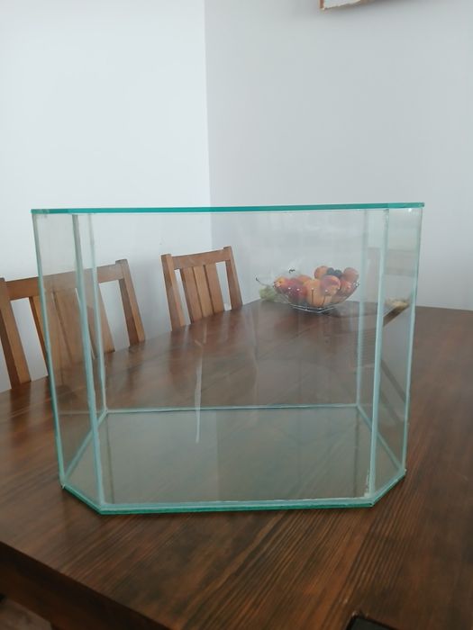 Akwarium/terrarium z pokrywką