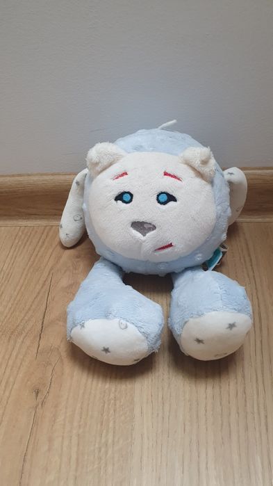 Miś szumiś błękitny