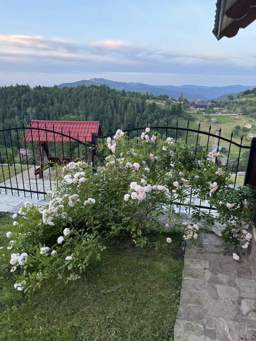 «Карпатский Рай» Вілла Яремче Оренда