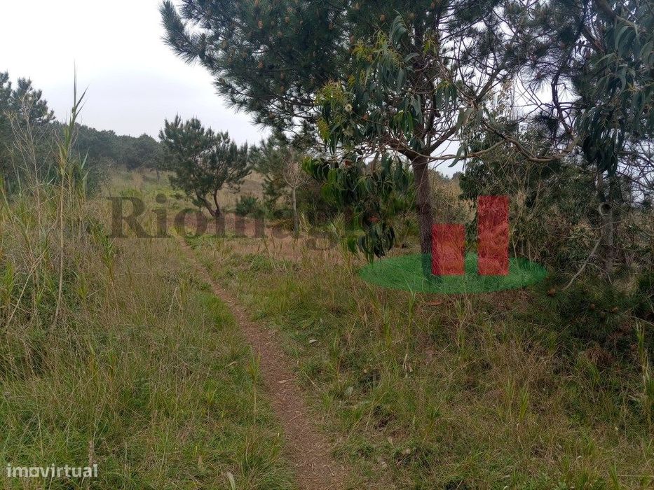 Terreno - Estrada Atlântica***RIOMAGIC***