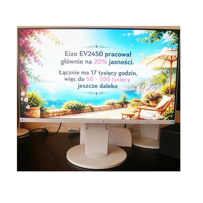 Monitor Eizo EV2450 klasa A, ideał. Mały przebieg głównie na ~20% jasności.