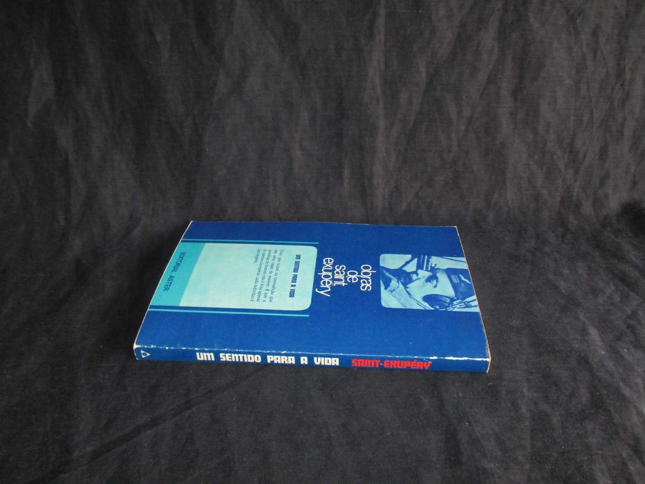 Livro Um sentido para a vida Antoine Saint-Exupéry