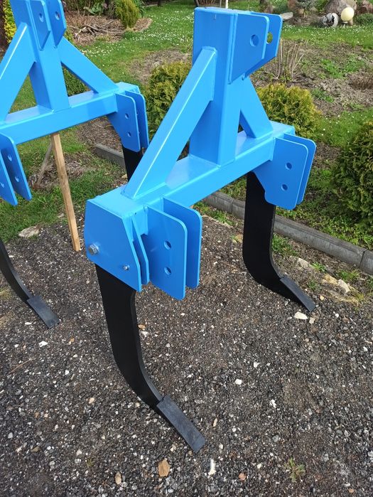 Głębosz 2 3 łapy zęby