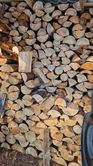 drewno opałowe sosna