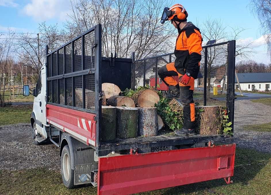 Wycinka drzew / Pielęgnacja / Arborystyka - Lublin / woj. lubleskie