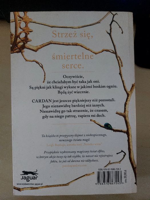 Okrutny książę Holly Black