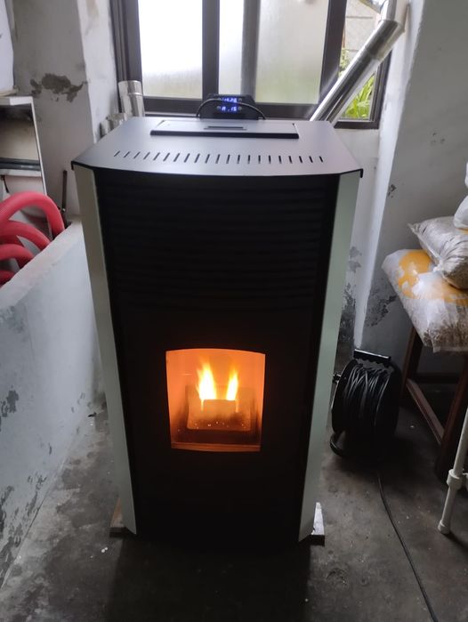 Salamandra como nova