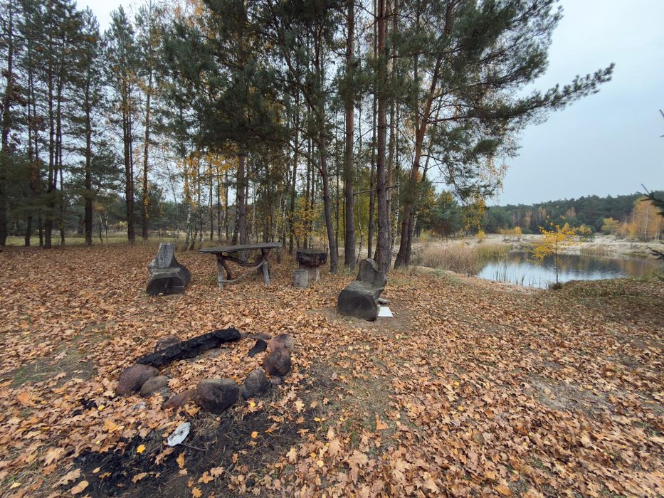 Agro-relax pod dębem