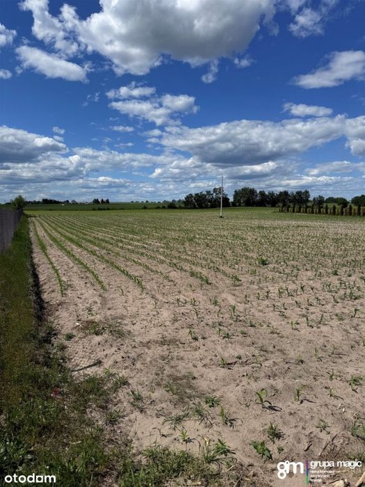 Działka budowlana 2253 m²| Wałycz, Wąbrzeźno