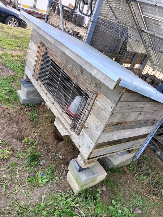 Kurnik, klatka dla królika, kur