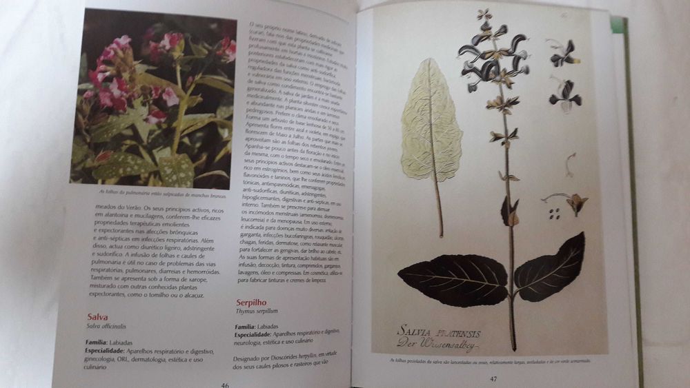 Novo Guia das Plantas Medicinais