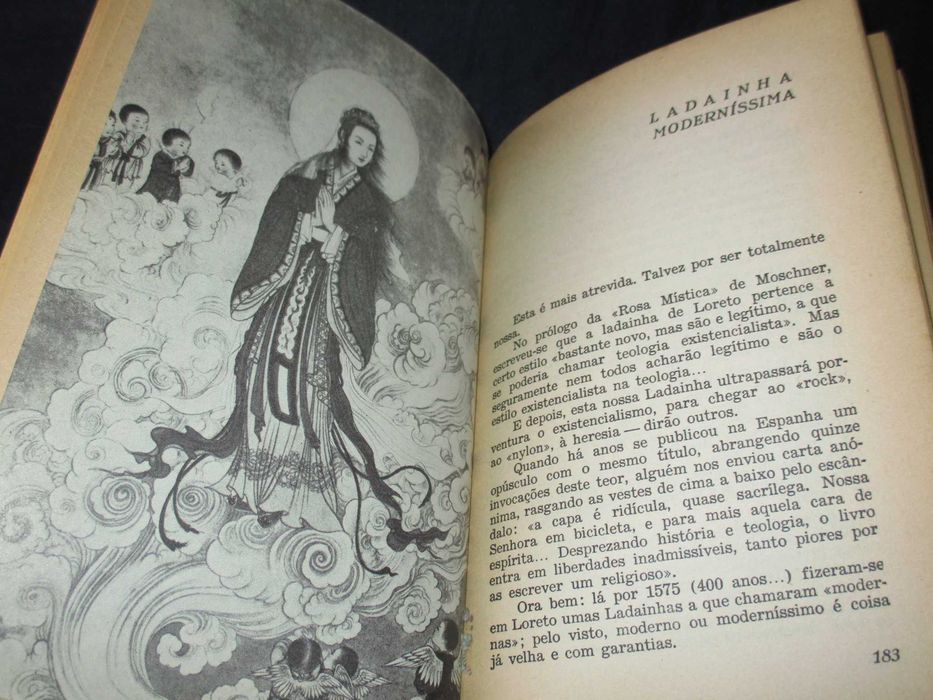 Livro Senhora do Século XX Pedro Casaldáliga