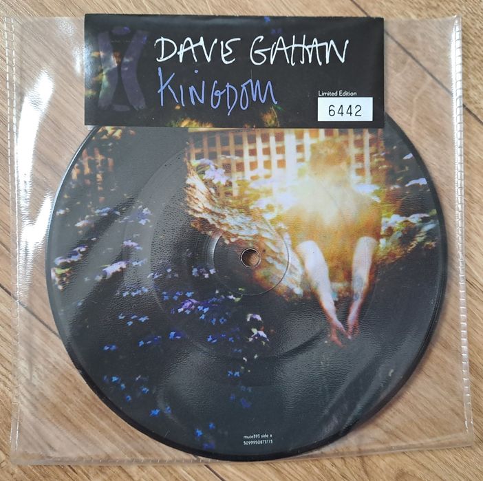Depeche Mode Dave Gahan Kingdom 7"