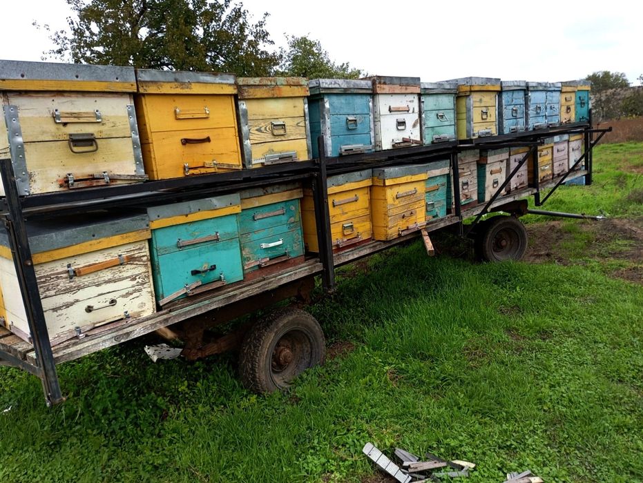 Продам пчелоприцеп и пустые улья