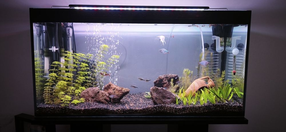 Luminária led para aquários de 60 a 80cm