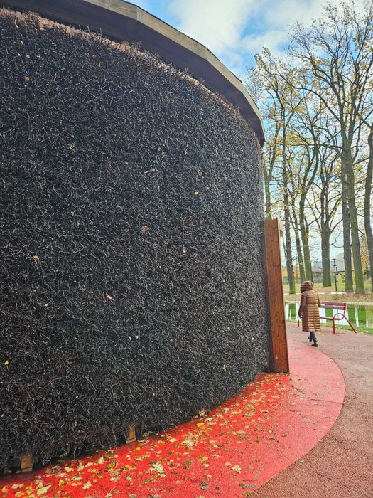 tarnina  tężnia solankowa grota solankowa