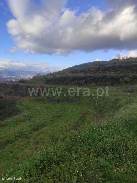 Terreno / Fundão, Alcongosta