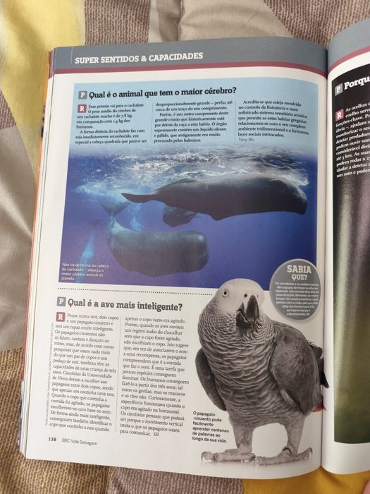 BBC Vida Selvagem - O grande livro das respostas