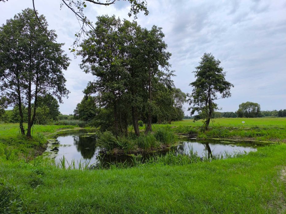 Domki letniskowe z sauną i balią, wieś na Mazowszu 100 km od Warszawy