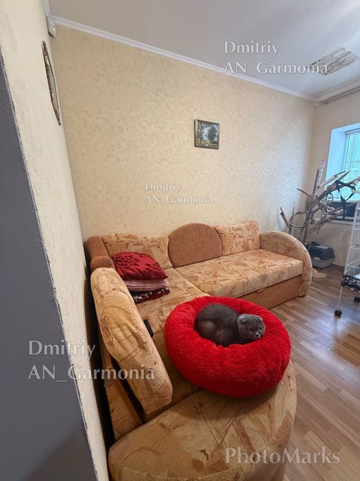 Центр частина Будинку 43000$