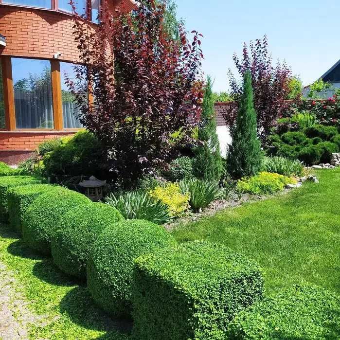 Стрижка рослин і туй