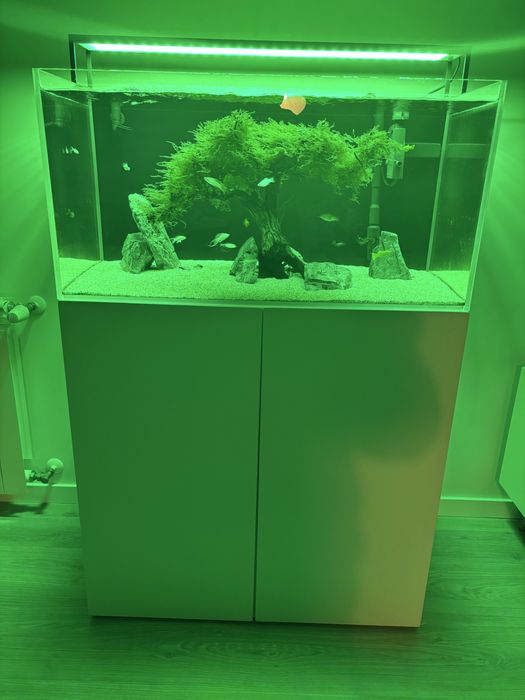 Aquário completo