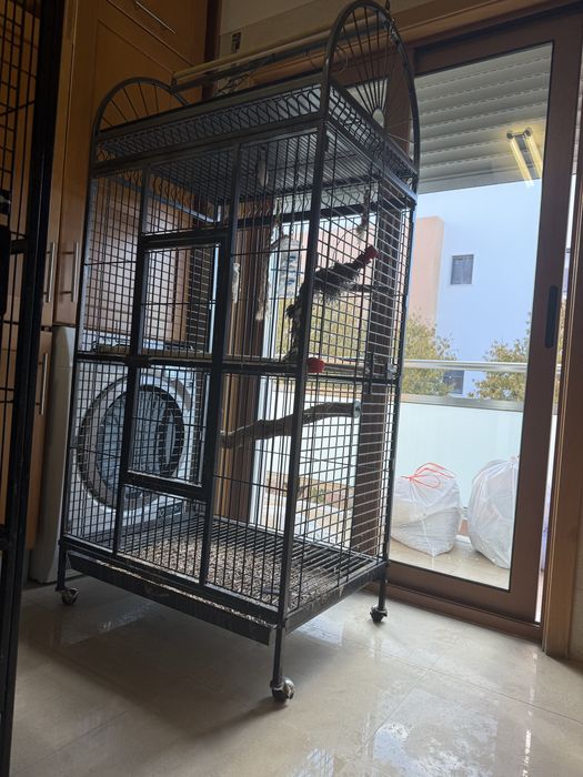 Gaiola para papagaido usada