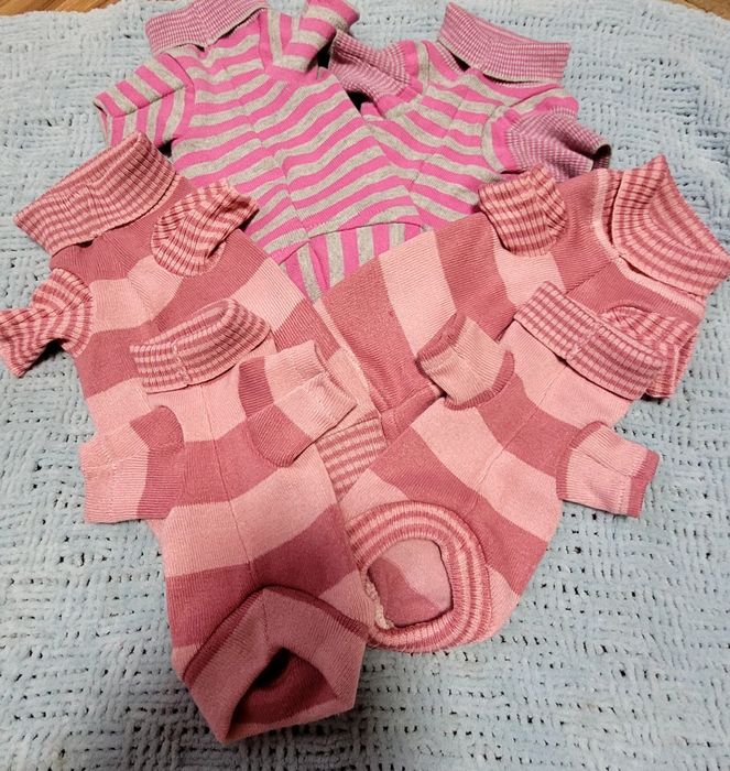 Светрики для сфінксів