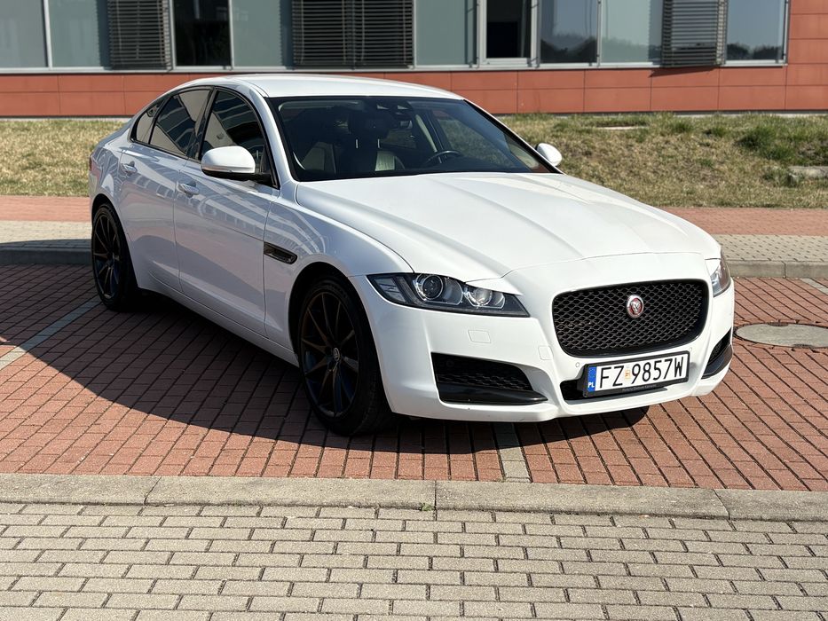 Jaguar XF 2.0d  240 PS 2017 | Automat | Skóra | Navi