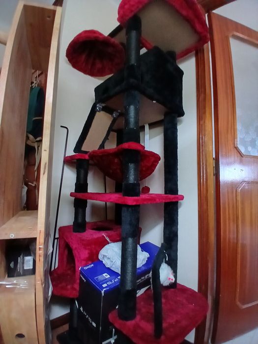 Arranhador torre gatos