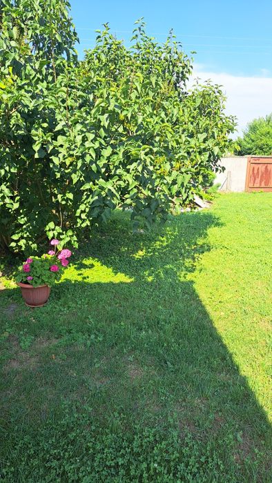 Продаж будинку 35 км від м Чернігів, єВідновлення