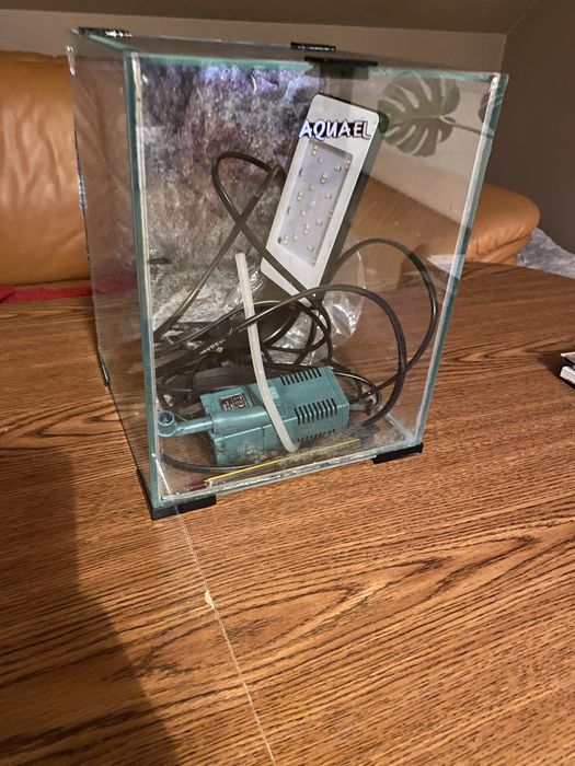 Akwarium krewetkarium 10 l