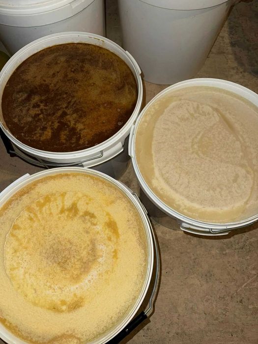 Miody naturalne prosto z pasieki | Hurt / Detal 2025