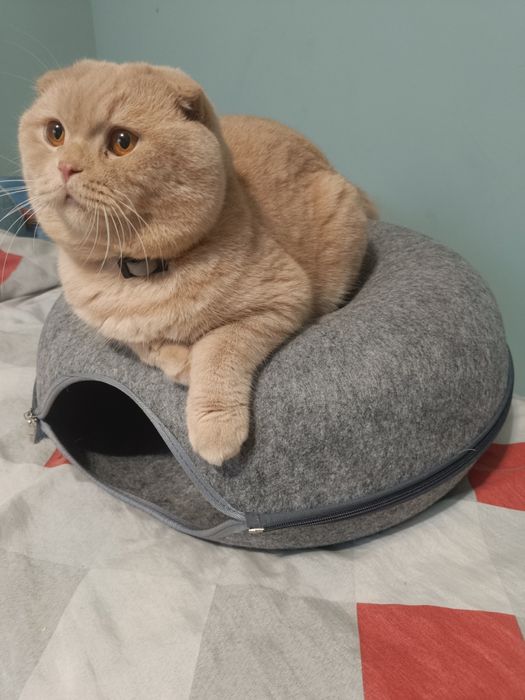 Budka/legowisko donut