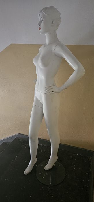 Sprzedam manekina