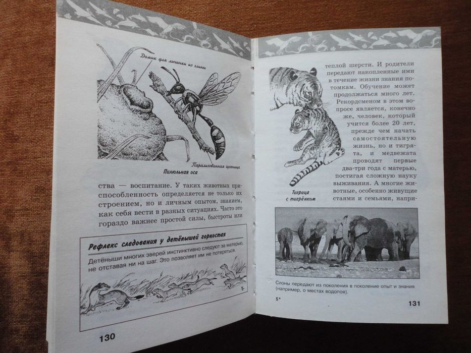 Жизнь животных. Детская энциклопедия