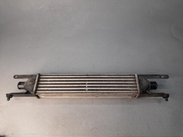 Radiador do intercooler FIAT Grande Punto (199_)