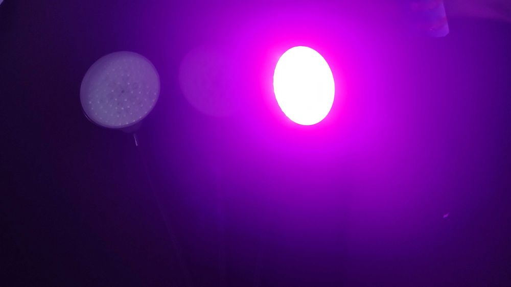 Lâmpadas LED 150W Vermelha e Azul com Regularizador - Alta Potência