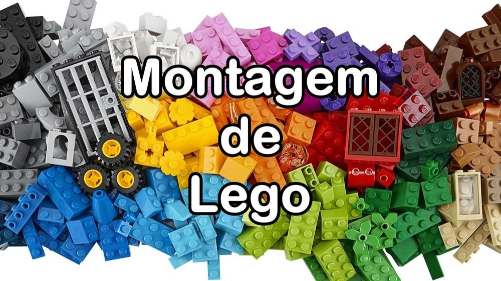 Montagem Profissional de LEGO