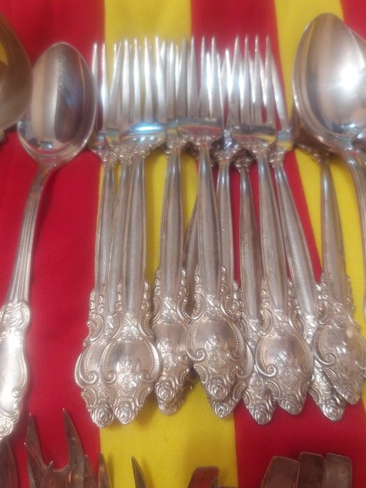 Мильхиор троянда